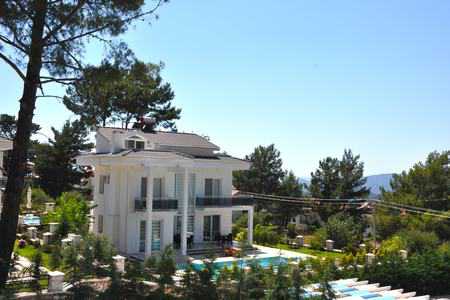 Villa Albero resim 1