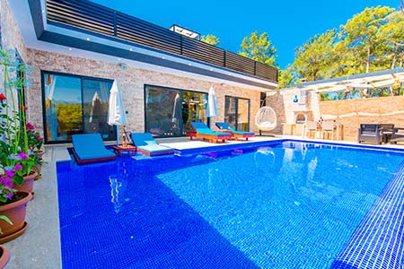 Villa Anemon resim 1