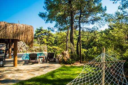 Villa Forester pictures 1
