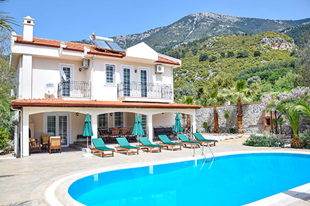 Villa Leo resim 1