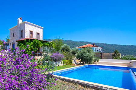Villa Tulip resim 1