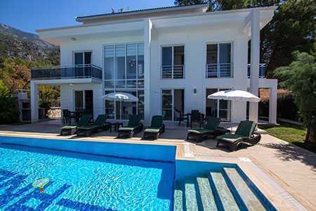 Villa Viyolino resim 1